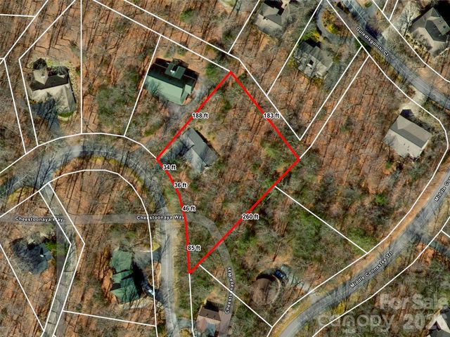 90 Cheestoonaya Way, Brevard, NC 28712