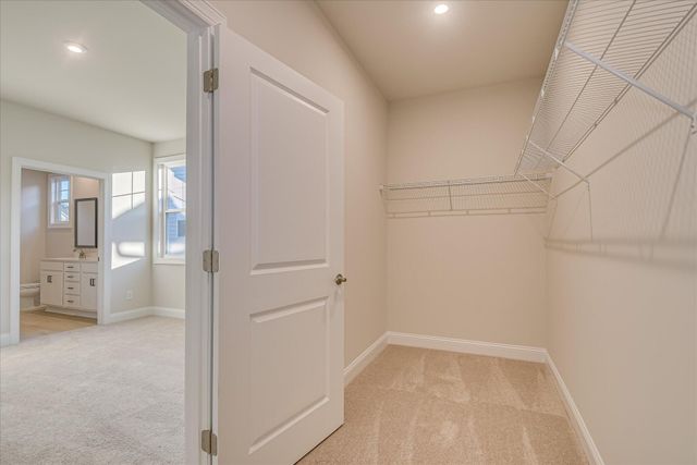 417 Minim Way, North Augusta, SC 29860