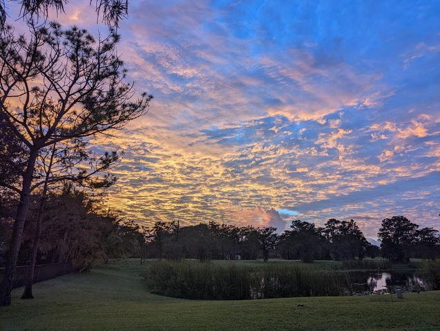 1738 Lindsey Court, Wellington, FL 33414