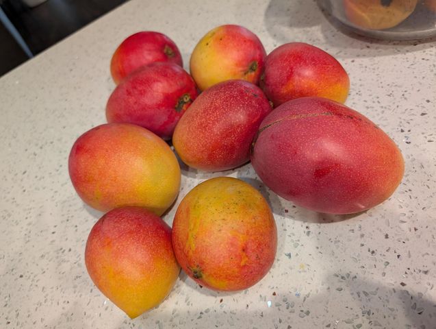 1738 Lindsey Court, Wellington, FL 33414