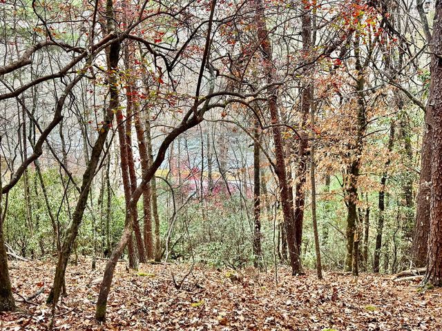 289 Paradise, Murphy, NC 28906