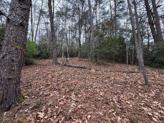 289 Paradise, Murphy, NC 28906