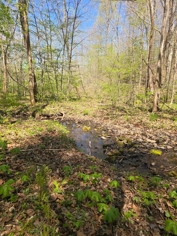 4149 Hwy 49, Tennessee Ridge, TN 37178