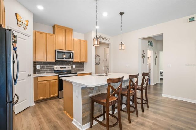 13512 PALMERA VISTA DRIVE, Riverview, FL 33579