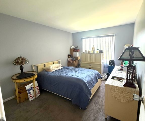 3108 ROBERTS Drive 6, Woodridge, IL 60517