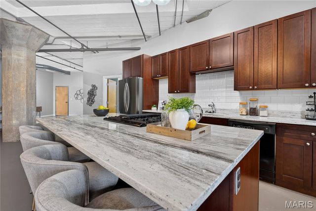 1619 Washington Avenue 203, St Louis, MO 63103