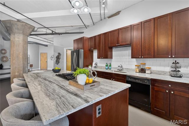 1619 Washington Avenue 203, St Louis, MO 63103