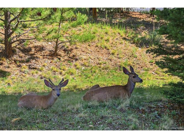31719 Rocky Village Dr 321, Evergreen, CO 80439