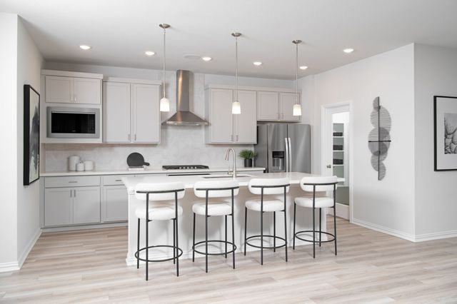 4120 Blackbird Avenue, Little Elm, TX 75068