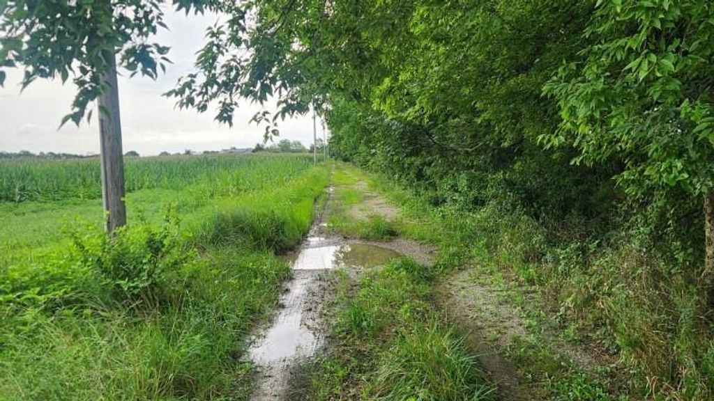 8479 SE 30th Street 30th Street, Baxter Springs, KS 66713