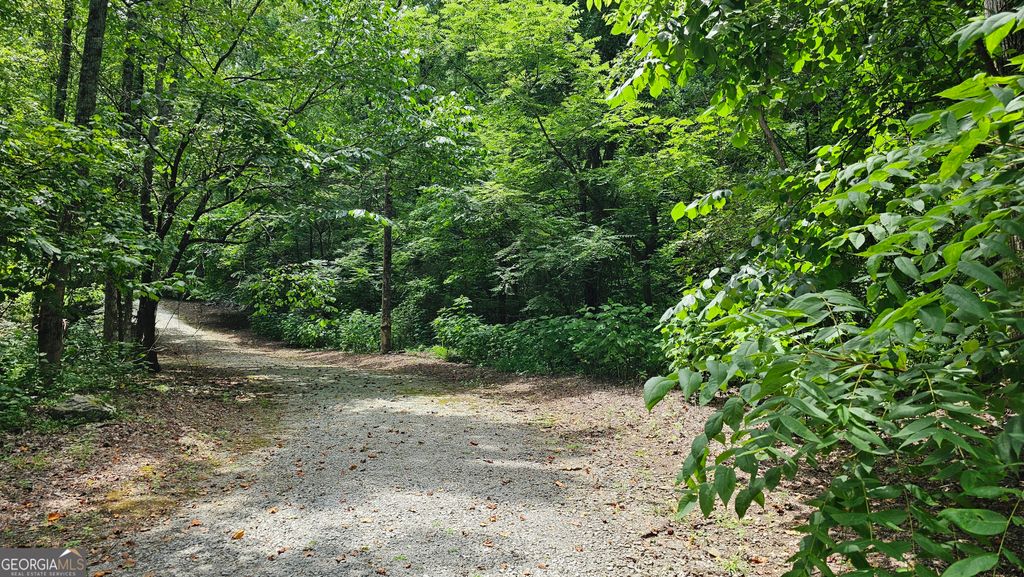0 Winding View Drive, Clayton, GA 30525