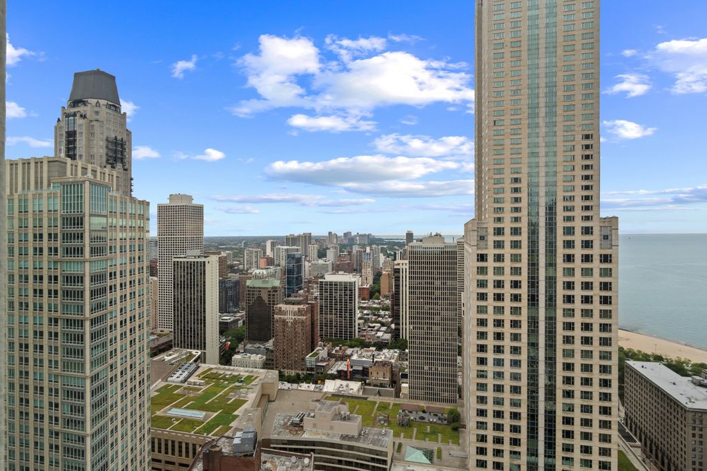 111 E Chestnut Street 46A, Chicago, IL 60611 — photo 2