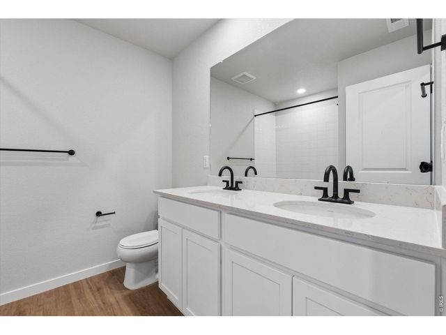 819 Mesic Ln, Windsor, CO 80550