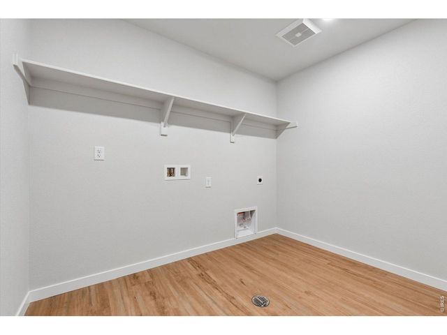 819 Mesic Ln, Windsor, CO 80550