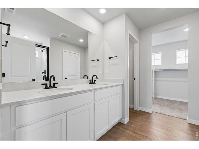 819 Mesic Ln, Windsor, CO 80550