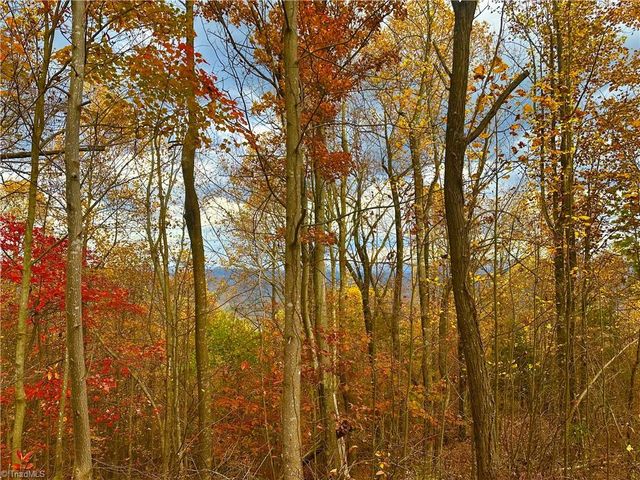 Lot 15 Morning Mist Drive, Boomer, NC 28606