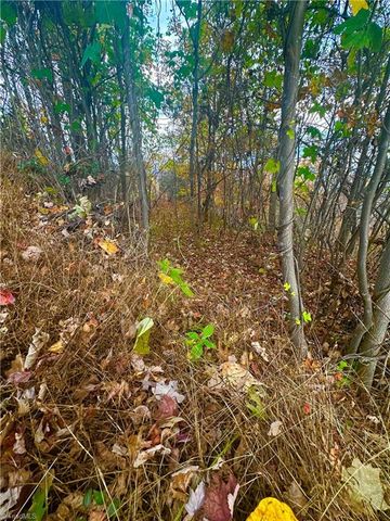 Lot 15 Morning Mist Drive, Boomer, NC 28606