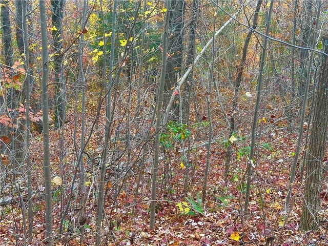 Lot 15 Morning Mist Drive, Boomer, NC 28606