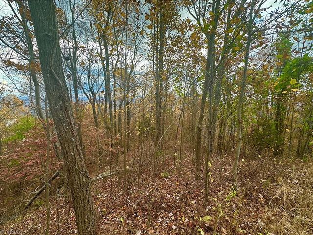 Lot 15 Morning Mist Drive, Boomer, NC 28606