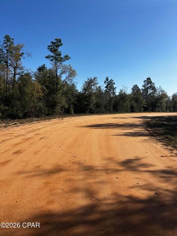 X Rincon Street, Alford, FL 32420