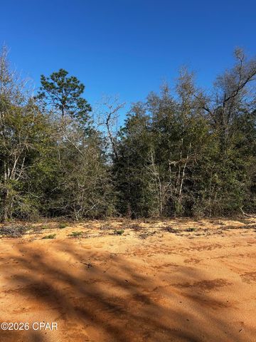 X Rincon Street, Alford, FL 32420