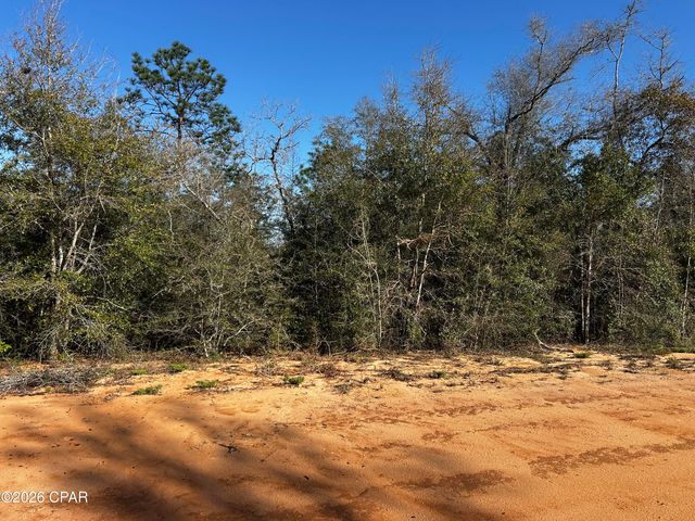 X Rincon Street, Alford, FL 32420