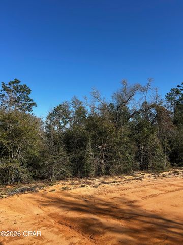 X Rincon Street, Alford, FL 32420