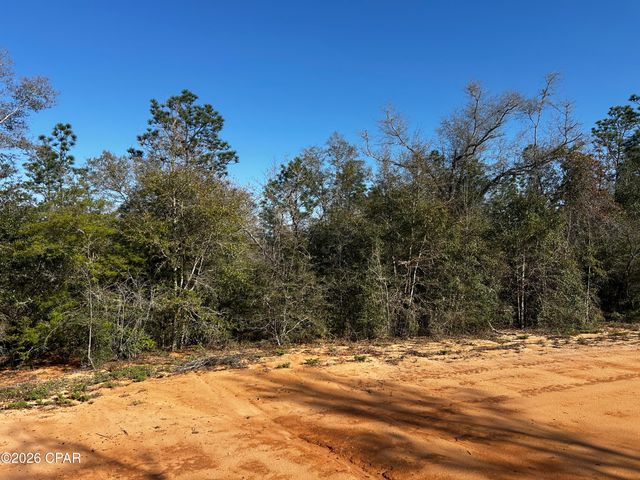 X Rincon Street, Alford, FL 32420