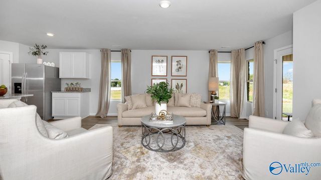 65 Cattail Court, Guntersville, AL 35976