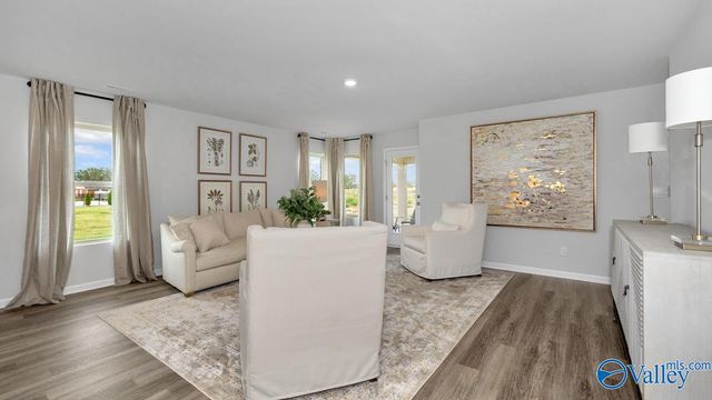 65 Cattail Court, Guntersville, AL 35976