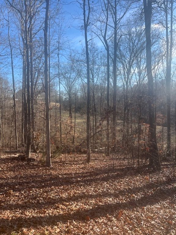 109 Falls Drive, Westminster, SC 29693