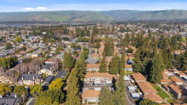 3665 Oxford Cmn, Fremont, CA 94536