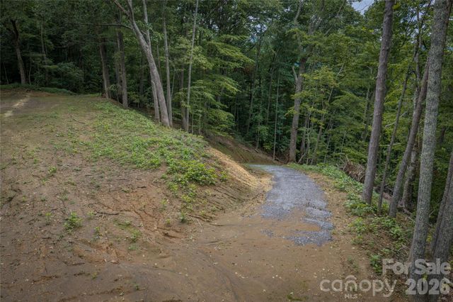 7 Wid Smith Road, Burnsville, NC 28714
