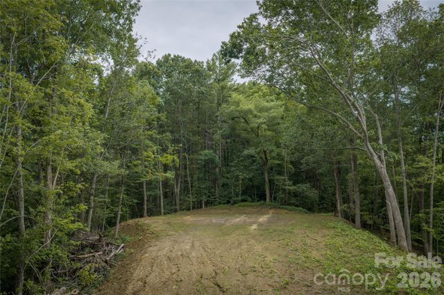 7 Wid Smith Road, Burnsville, NC 28714