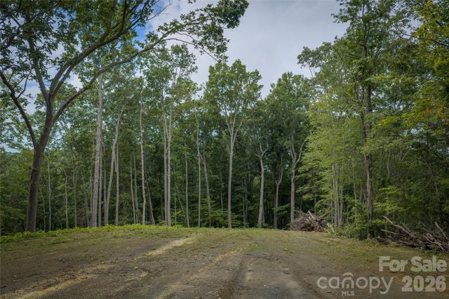 7 Wid Smith Road, Burnsville, NC 28714