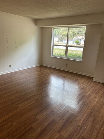 541 Roselawn Dr, Clarksville, TN 37042