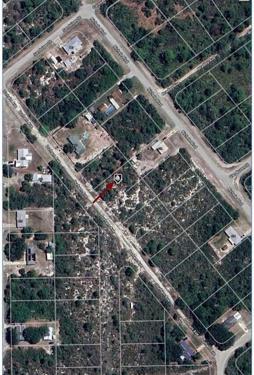 419 DURHAM AVENUE, Lake Placid, FL 33852