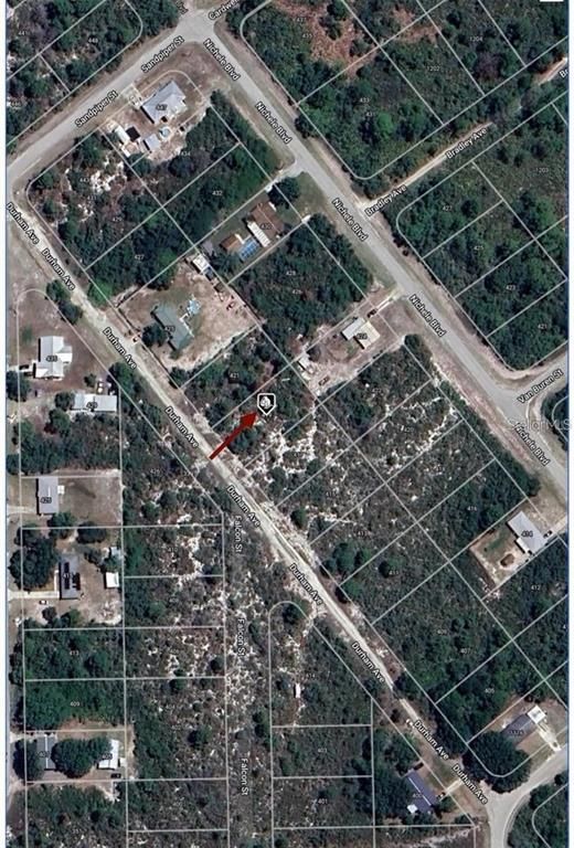 419 DURHAM AVENUE, Lake Placid, FL 33852
