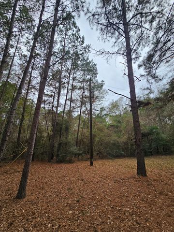 263 Wishing Trail, Livingston, TX 77351