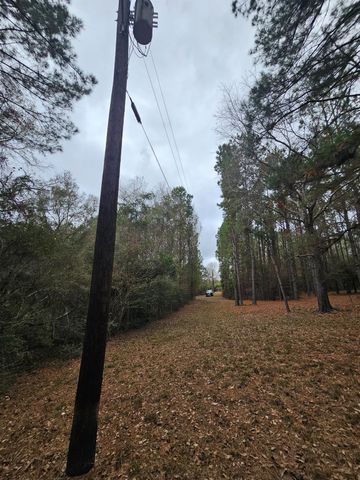 263 Wishing Trail, Livingston, TX 77351