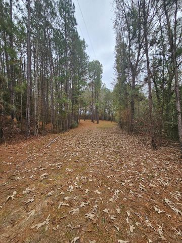 263 Wishing Trail, Livingston, TX 77351