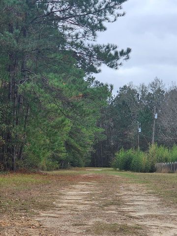 263 Wishing Trail, Livingston, TX 77351