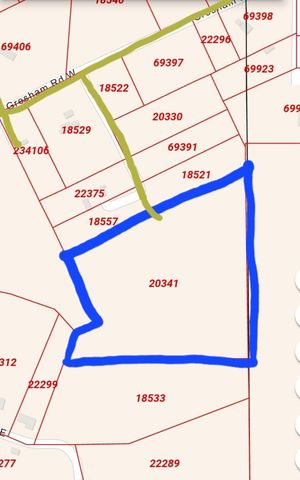 263 Wishing Trail, Livingston, TX 77351