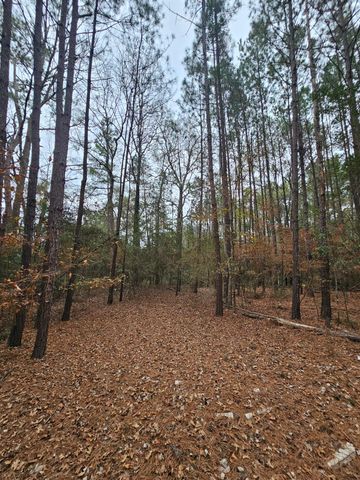 263 Wishing Trail, Livingston, TX 77351