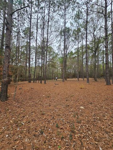 263 Wishing Trail, Livingston, TX 77351