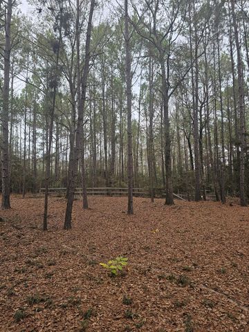 263 Wishing Trail, Livingston, TX 77351