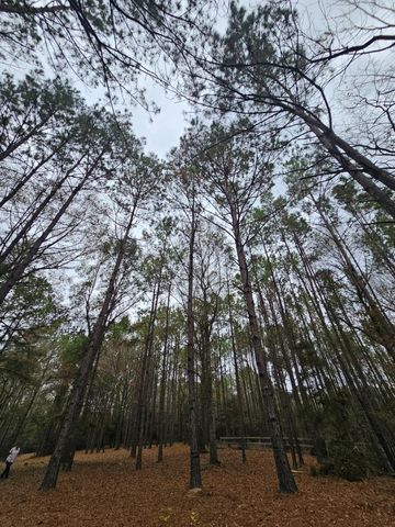 263 Wishing Trail, Livingston, TX 77351