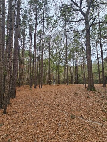 263 Wishing Trail, Livingston, TX 77351