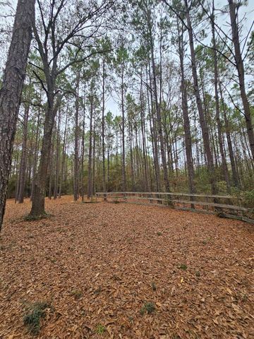 263 Wishing Trail, Livingston, TX 77351