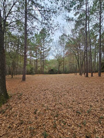 263 Wishing Trail, Livingston, TX 77351